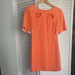 Elegant Orange Women's Dress